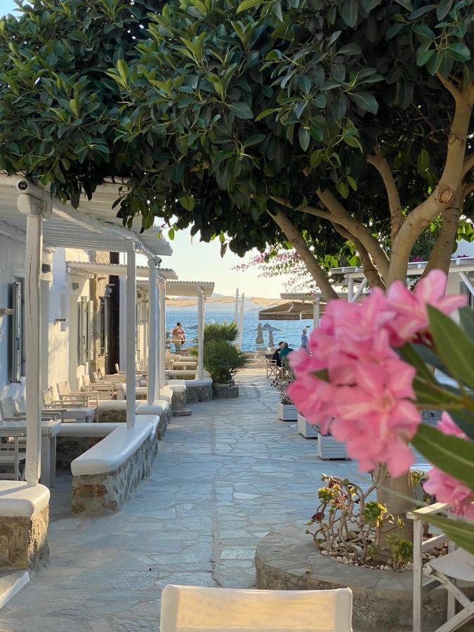 Agia Anna Beachfront Boutique فندق بارانْغا